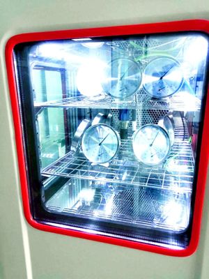 Appui personnalisé Chambre de test de haute précision et de stabilité AC 220V 50Hz